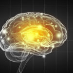Brain Imaging