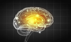 Brain Imaging