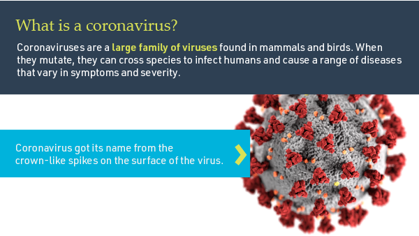MGRI COVID facts-blog-02