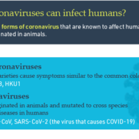 MGRI COVID facts-blog-05