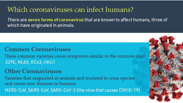 MGRI COVID facts-blog-05