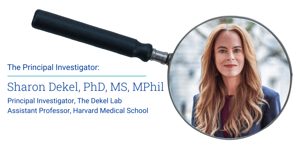 The Principal Investigator (4)