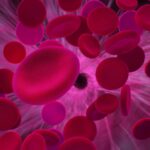 Image of red blood cells