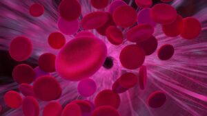 Image of red blood cells