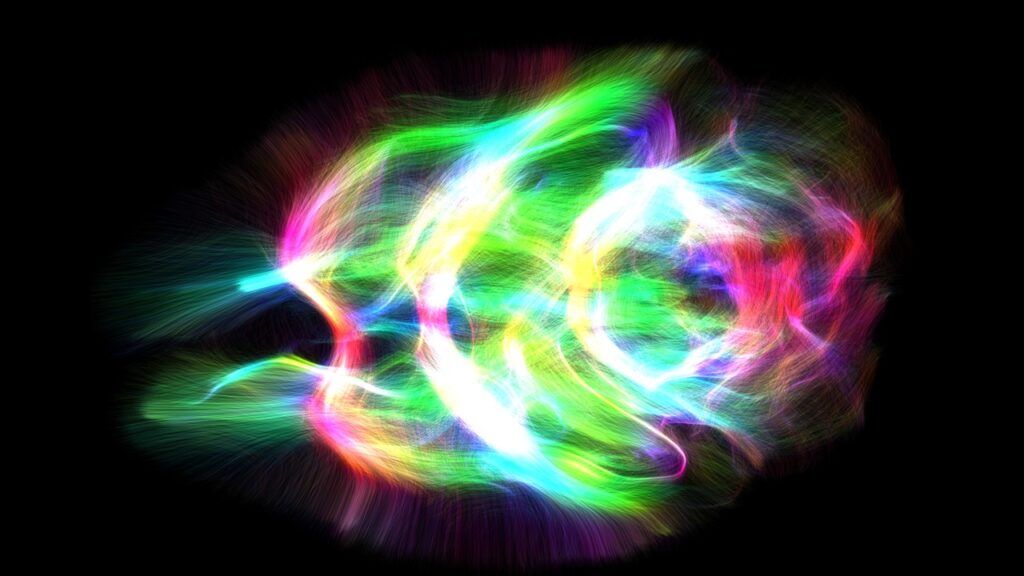 30_Lightning of the mouse brain_Ortug