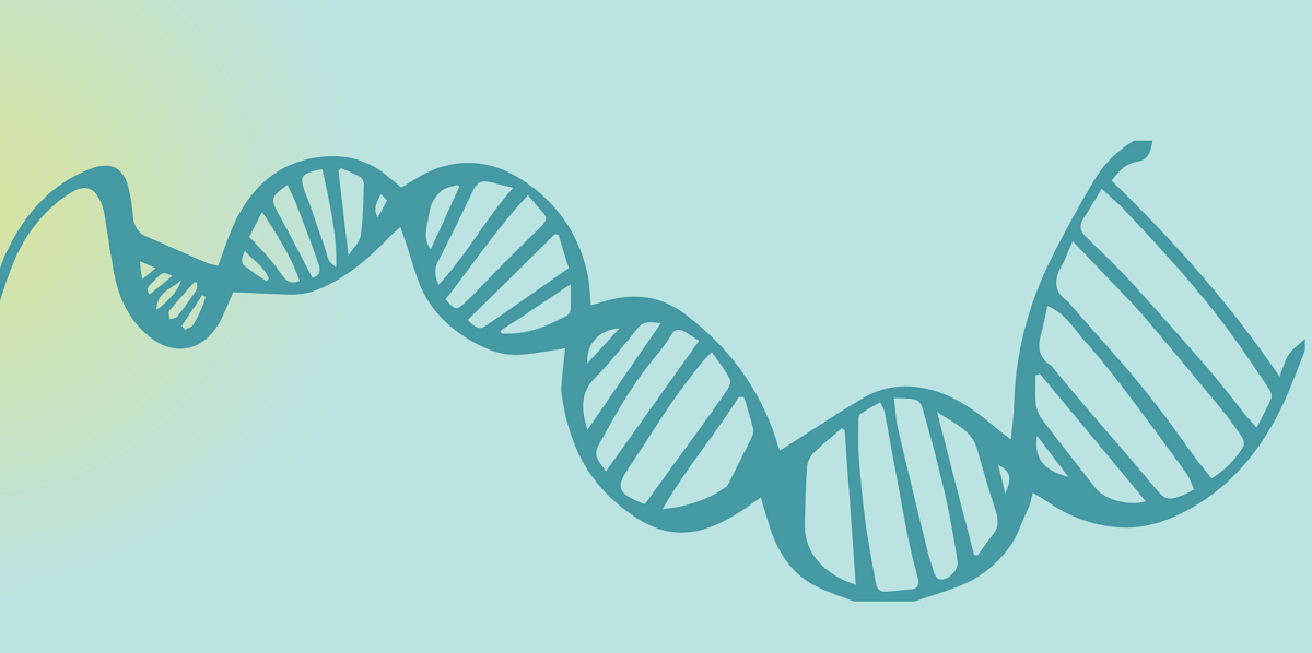 DNA header