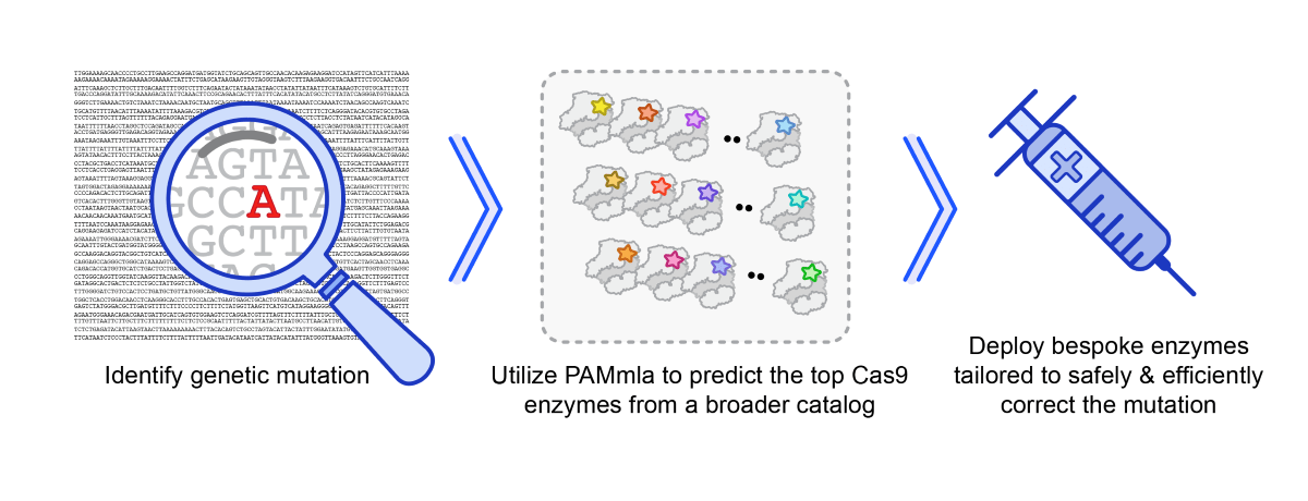 PAMmla_resized