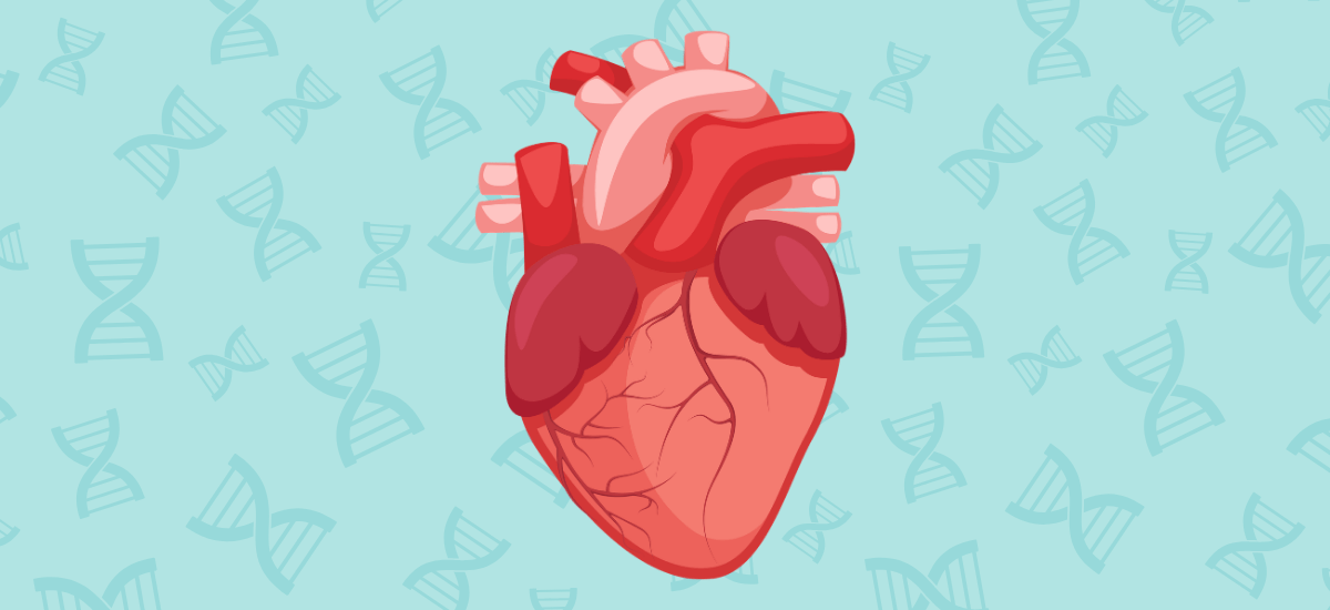 cardiovascular-genetics